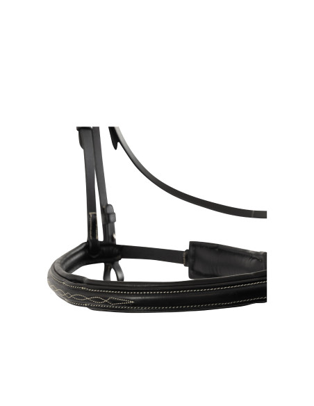 BR Bridle Sunderland