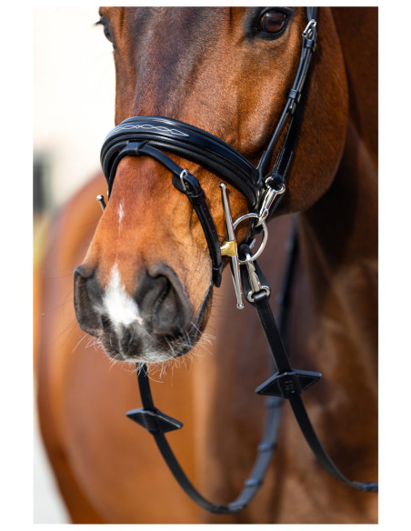 BR Bridle Seaford