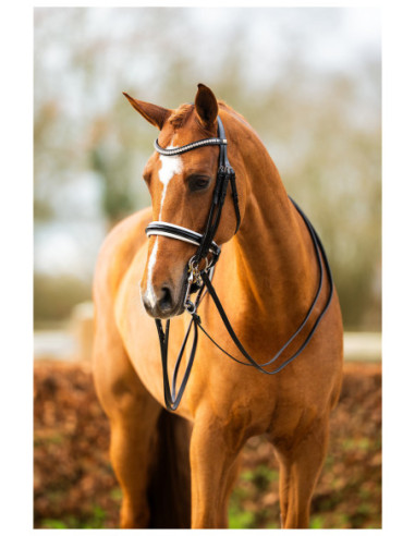 BR Bridle Heywood