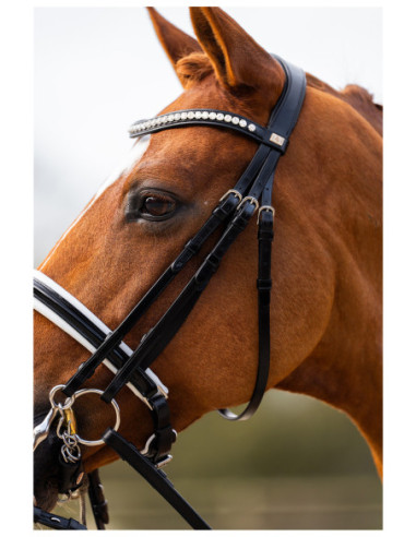 BR Bridle Heywood