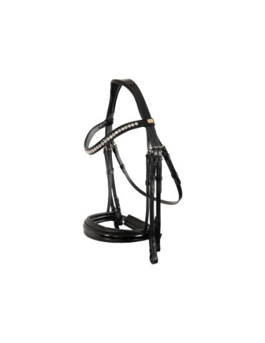 BR Bridle Heywood