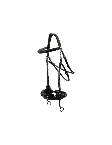 BR Bridle Thornbury