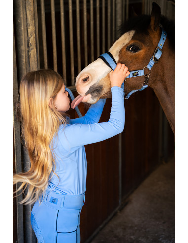 BR Mini Horse Halfter mit Anbindestrick