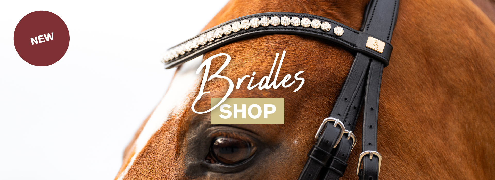 Bridles