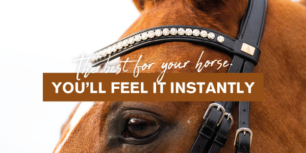Welk BR® hoofdstel past bij jou en jouw paard? Check onze eerlijke keuzehulp!