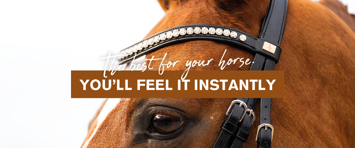 Welk hoofdstel past bij jou en jouw paard? Check onze eerlijke keuzehulp!